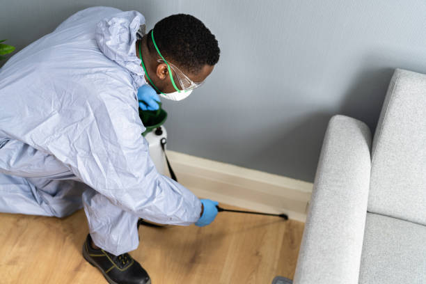 Real Estate Pest Inspections in North Beach Haven, NJ